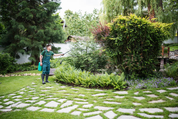 Best Ant Control Services  in Montclair State University, NJ