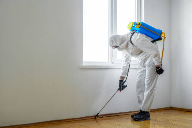 Best Rat Extermination Near Me  in Montclair State University, NJ
