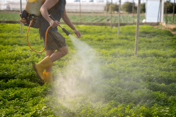 Best Ant Control Services  in Montclair State University, NJ