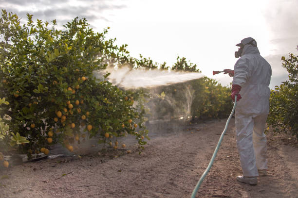 Pest Control for Restaurants in Montclair State University, NJ