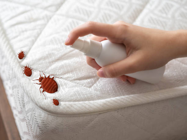  Montclair State University, NJ Pest Control Pros