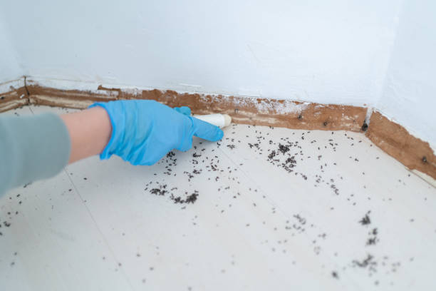 Best Insect Control  in Montclair State University, NJ