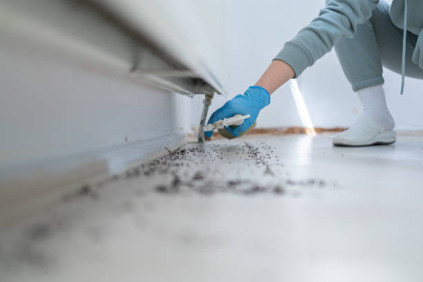 Pest Control Cost in Montclair State University, NJ